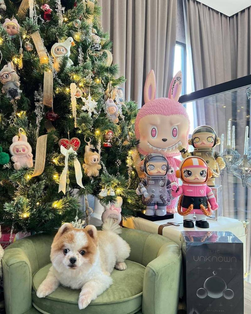 Instagram.com/chitthipbruschweiler